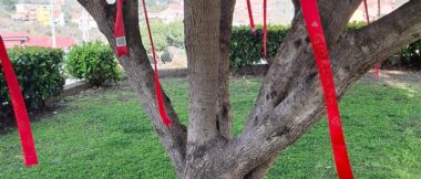 L’Albero della Memoria per le donne che non ci sono più